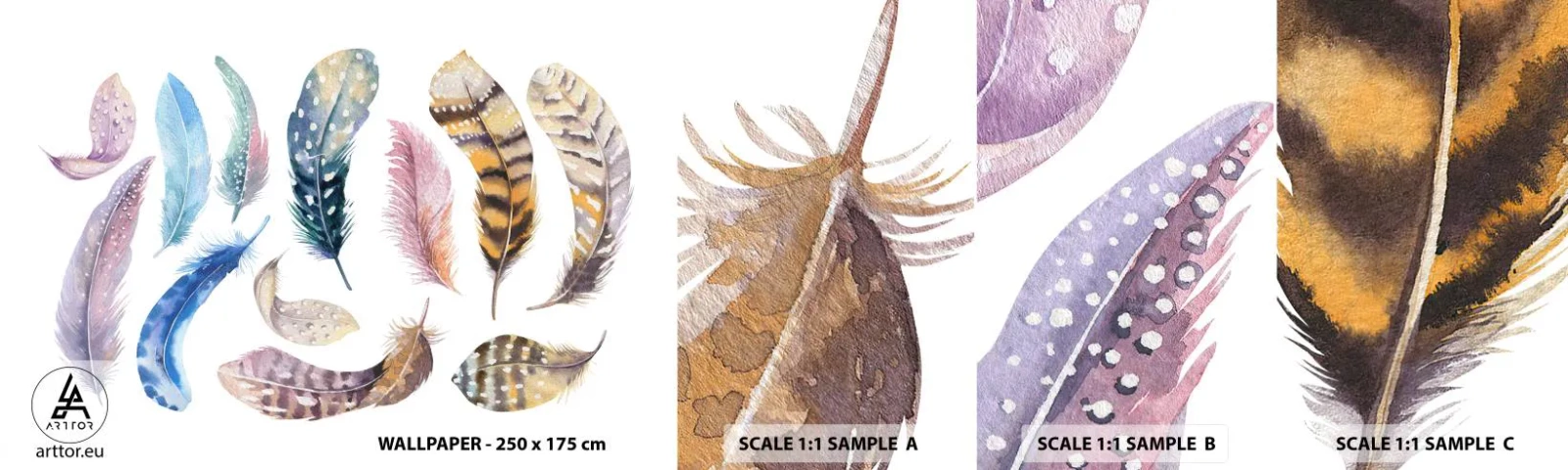 Fototapetenmuster Standard Eco - Hell, bunt und bunt - Vogelfedern, Vögel, Grafik - 100x30 cm