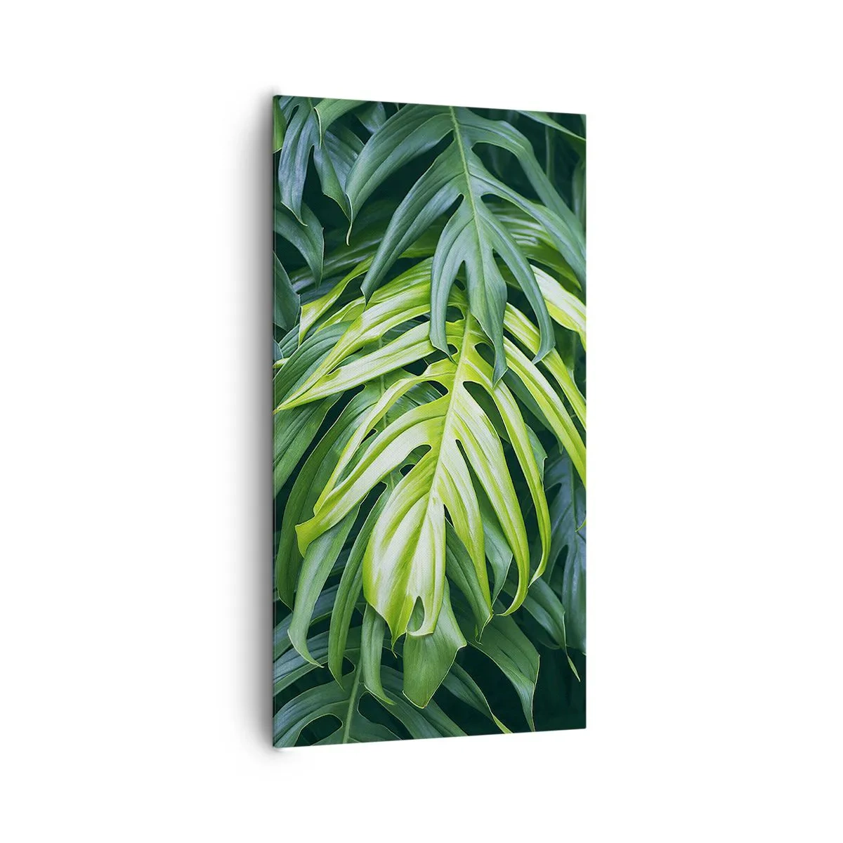 Bild auf Leinwand - Leinwandbild - Tauchen Sie ein in die Frische - 65x120 cm