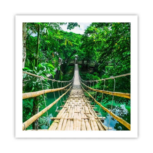 Poster - Monkey Bridge über das Grün - 60x60 cm