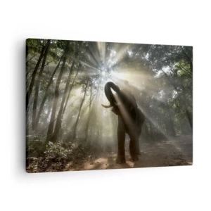 Bild auf Leinwand - Leinwandbild - Ein Elefant im Wald, umgeben von Lichtstrahlen im Morgennebel - 70x50cm - Unter dem Glücksstern - Moderne Wanddekoration für Wohnzimmer und Schlafzimmer ARTTOR