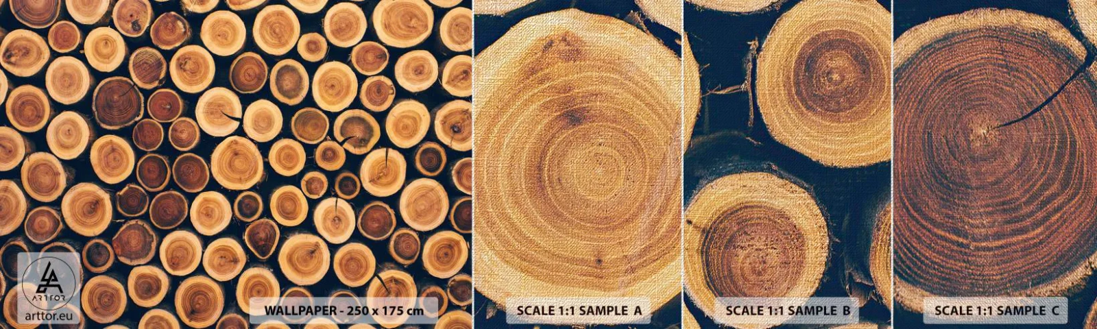 Fototapeten Muster Premium Canvas - Wie alt sehe ich aus? - Baumstamm, Wald, Stück - 100x30 cm
