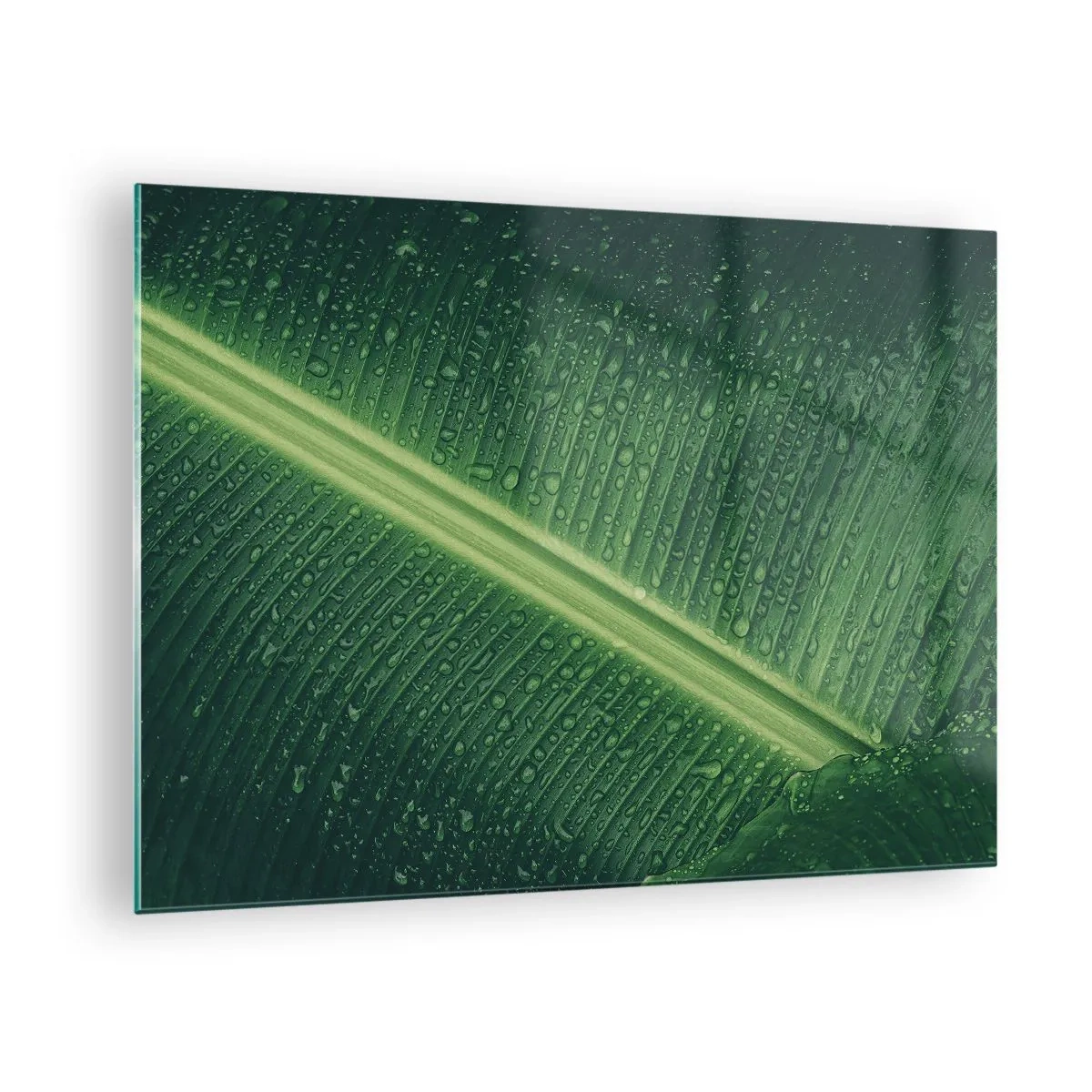Glasbild - Bild auf glas - Nahaufnahme eines grünen Blattes mit Wassertropfen - 70x50cm - Die Struktur des Grüns - Moderne Wanddekoration für Wohnzimmer und Schlafzimmer ARTTOR