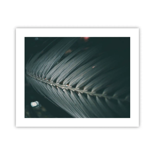 Poster - Die Präzision der Natur - 50x40 cm