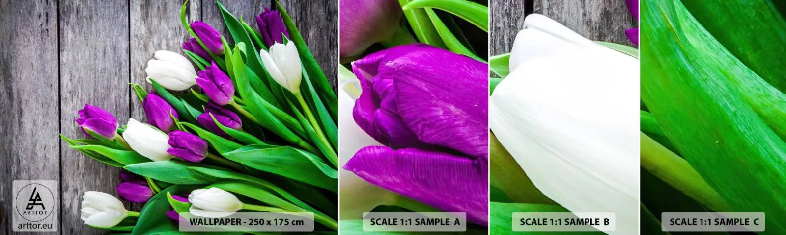 Fototapetenmuster Standard Eco - Am Tag der Frühlingsferien - Blumen, Tulpen, Blumenstrauß - 100x30 cm