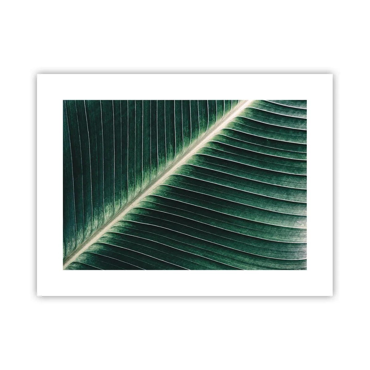 Poster - Rhythmus der Natur - 40x30 cm