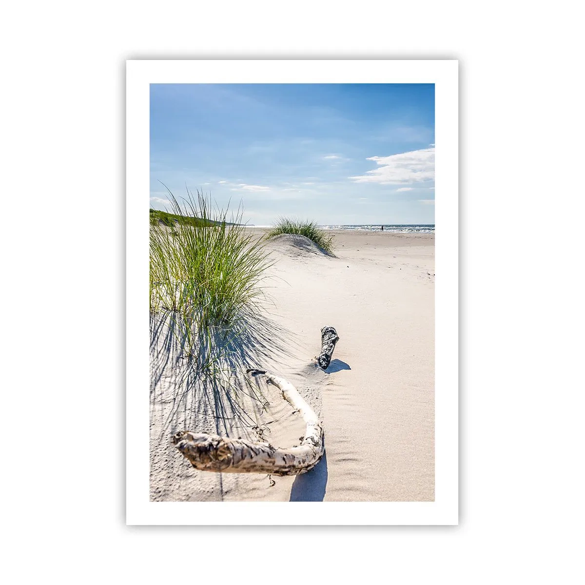 Poster - Strand mit Dünen, Gras und Ästen im Sonnenlicht - 50x70cm - Der schönste Strand? Ostsee-Strand - Moderne Wanddekoration für Wohnzimmer und Schlafzimmer ARTTOR