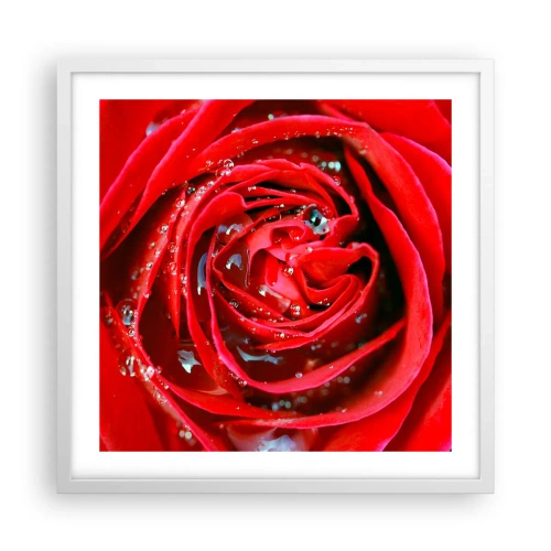 Poster in einem weißen Rahmen - In den Tautropfen - 50x50 cm