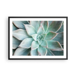 Poster in einem schwarzem Rahmen - Nahaufnahme einer grünen Sukkulente - 70x50cm - Das Herz der Wüste - Moderne Wanddekoration für Wohnzimmer und Schlafzimmer ARTTOR