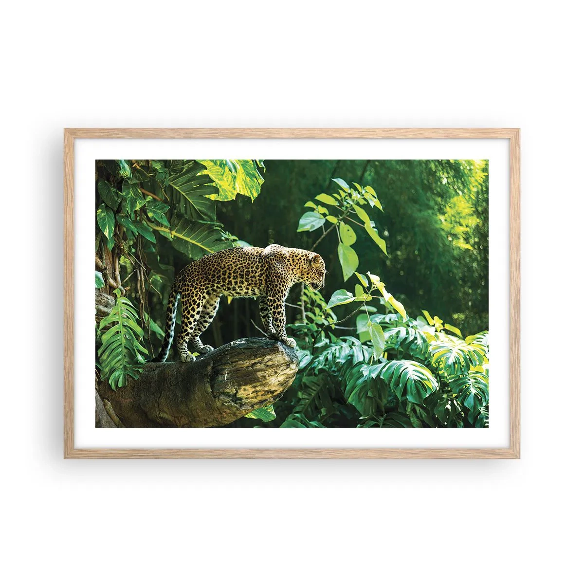 Poster in einem Rahmen aus heller Eiche - Auf die Jagd? - 70x50 cm