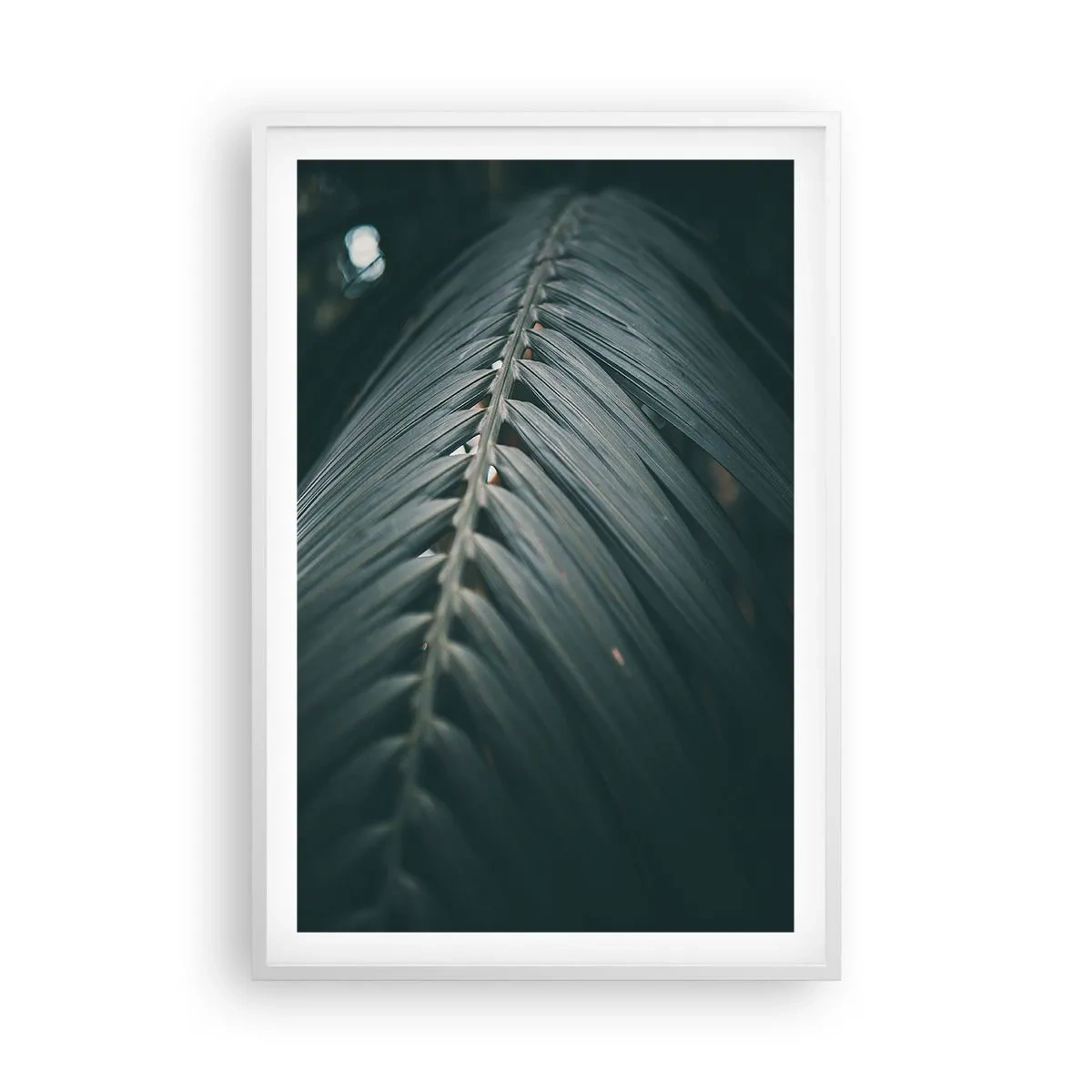 Poster in einem weißen Rahmen - Die Präzision der Natur - 61x91 cm