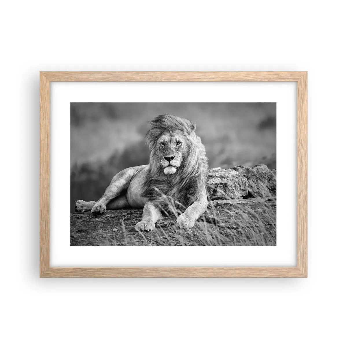 Poster in einem Rahmen aus heller Eiche - Königliche Siesta - 40x30 cm