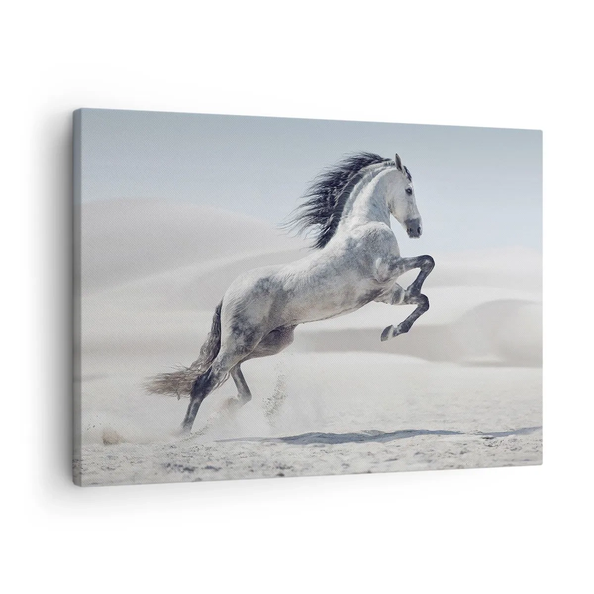 Bild auf Leinwand - Leinwandbild - Ein weißes Pferd galoppiert vor der Kulisse der Wüstendünen - 70x50cm - Arabischer Prinz - Moderne Wanddekoration für Wohnzimmer und Schlafzimmer ARTTOR