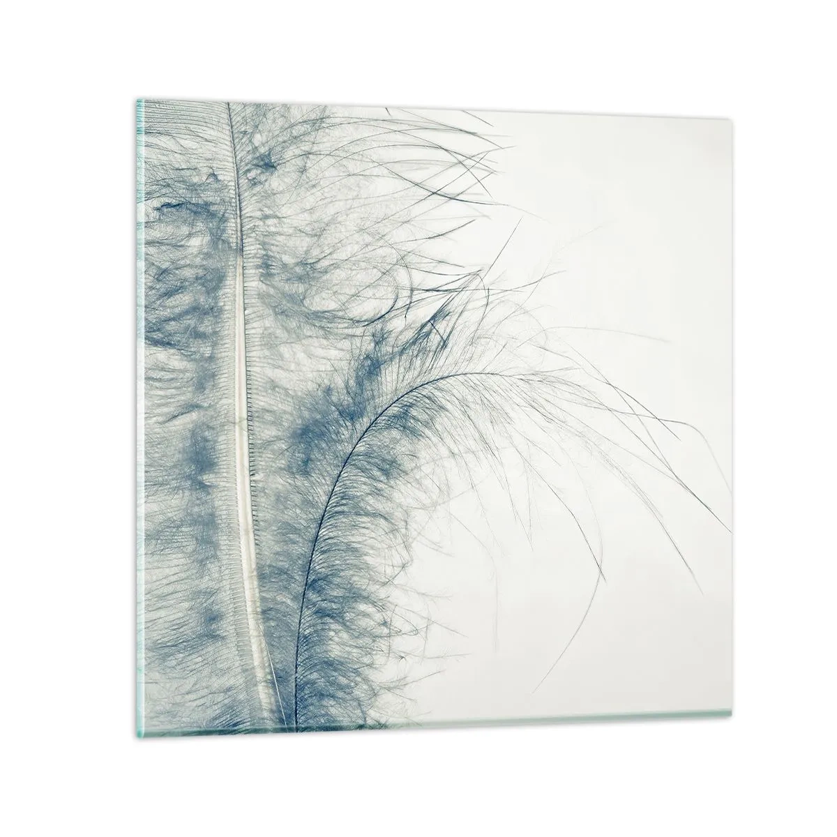 Glasbild - Bild auf glas - Flüstern der Natur - 30x30 cm
