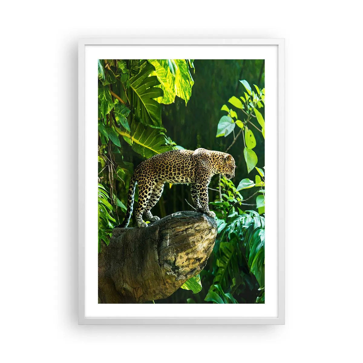 Poster in einem weißen Rahmen - Auf die Jagd? - 50x70 cm