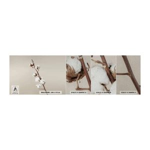 Fototapeten Muster Premium Sand - An der Quelle der Weichheit - Baumwollblume, Natur, Baumwolle - 100x30 cm