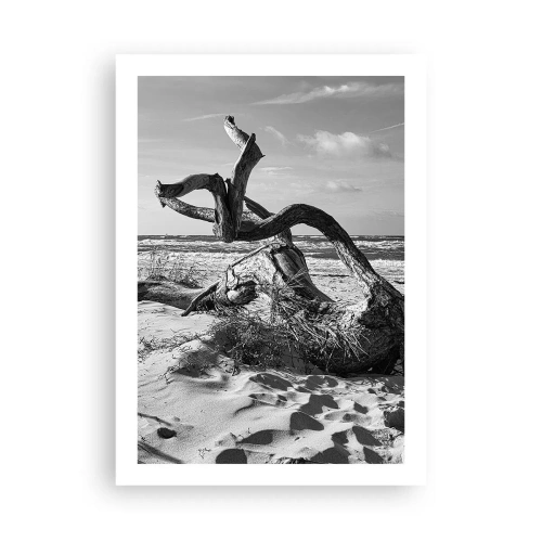 Poster - Schwarz-Weiß-Fotografie eines trockenen Baumes am Strand - 50x70cm - Meeresskulptur - Moderne Wanddekoration für Wohnzimmer und Schlafzimmer ARTTOR