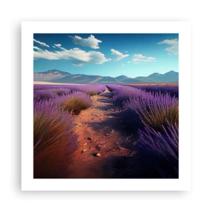 Poster - Duftende Felder - 50x50 cm