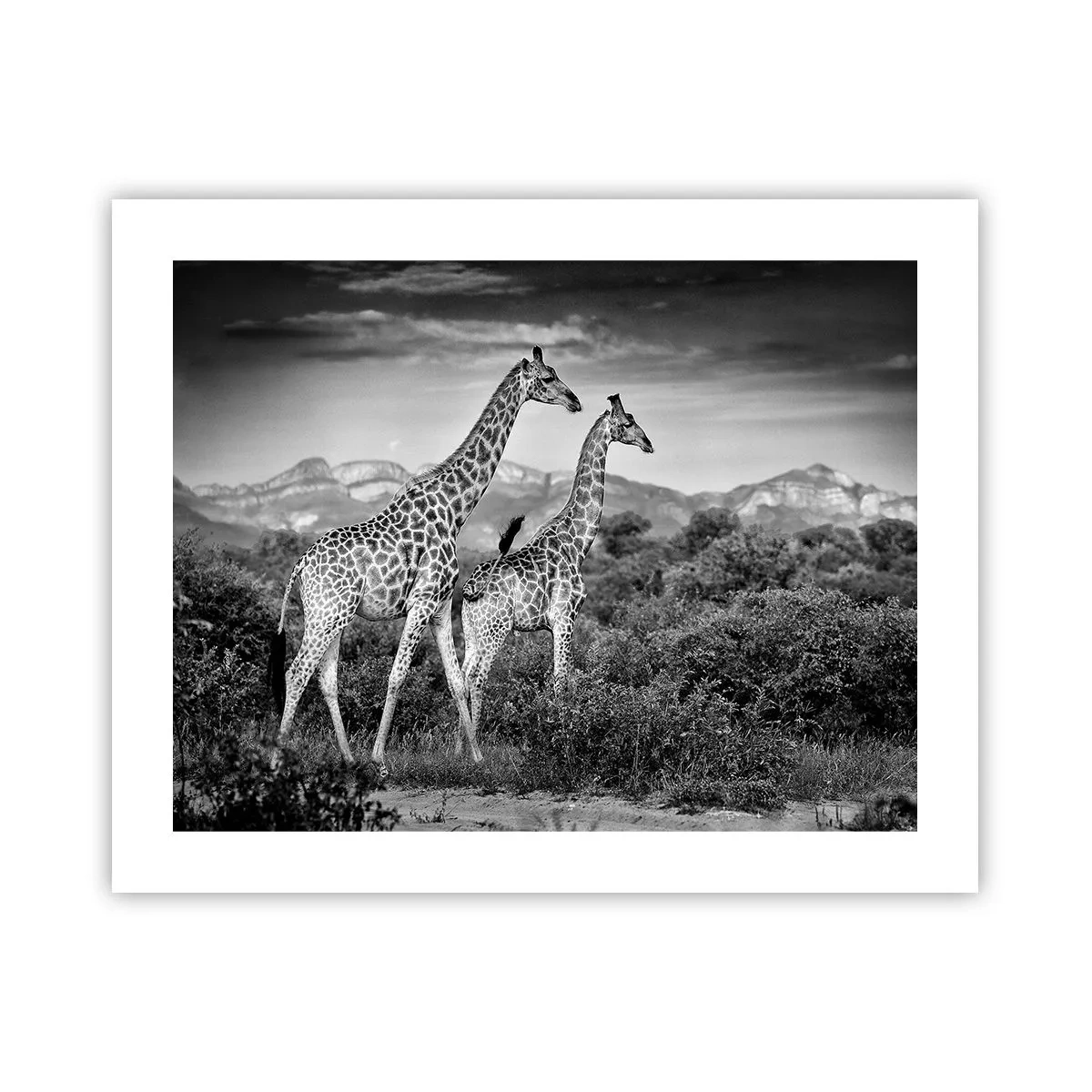 Poster - Hohe Sphären in Afrika - 50x40 cm