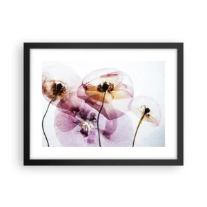 Poster in einem schwarzem Rahmen - Transparente Körperblumen - 40x30 cm