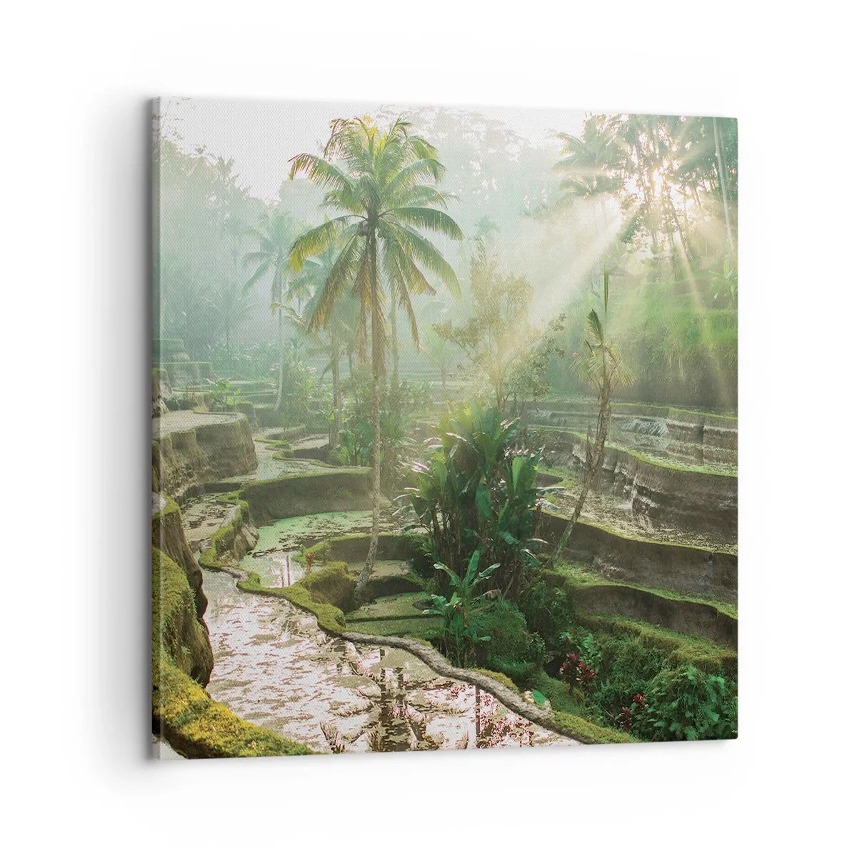 Bild auf Leinwand - Leinwandbild - In der Sonne aufwachsen - 60x60 cm