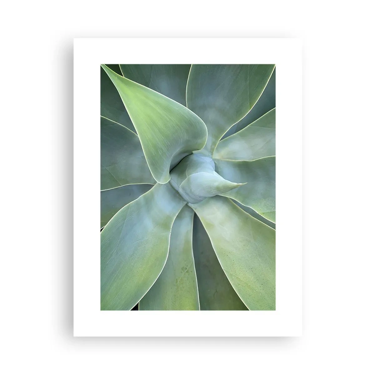 Poster - Geburt des Grüns - 30x40 cm