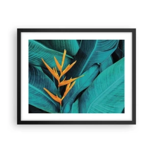 Poster in einem schwarzem Rahmen - Eden-Blume - 50x40 cm