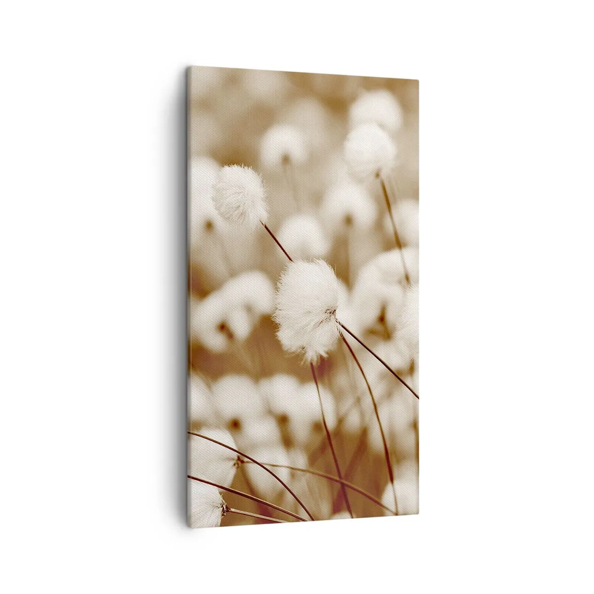 Bild auf Leinwand - Leinwandbild - Flauschiges Kornfeld - 45x80 cm