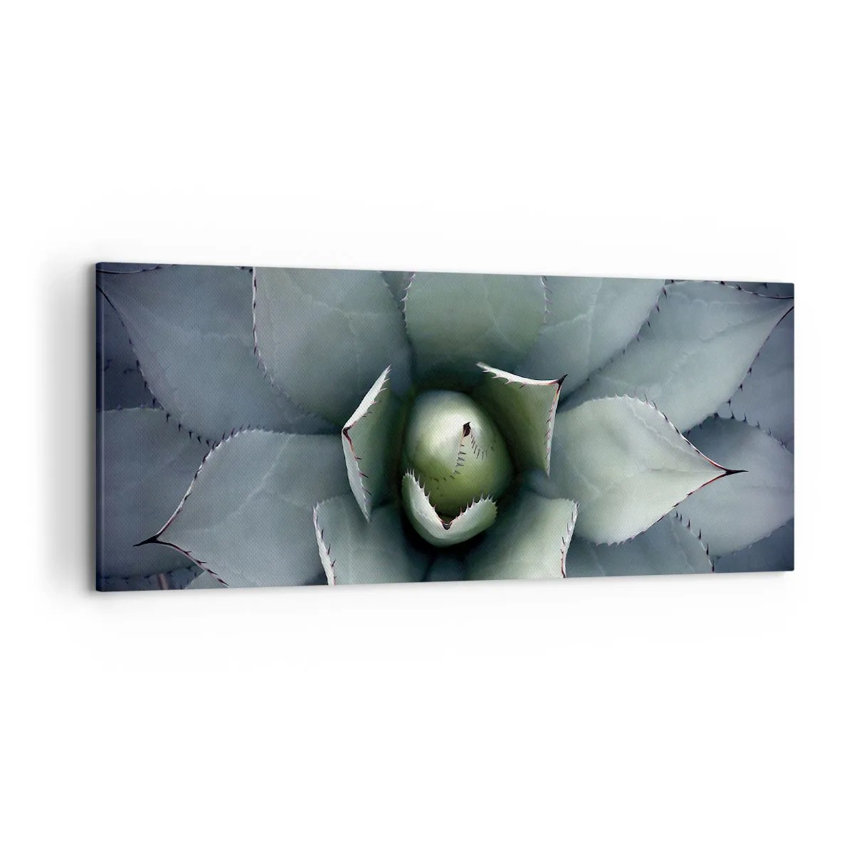 Bild auf Leinwand - Leinwandbild - Nahaufnahme einer Agavenrosette in zarten Grüntönen - 120x50cm - Es lockt an und warnt - Moderne Wanddekoration für Wohnzimmer und Schlafzimmer ARTTOR