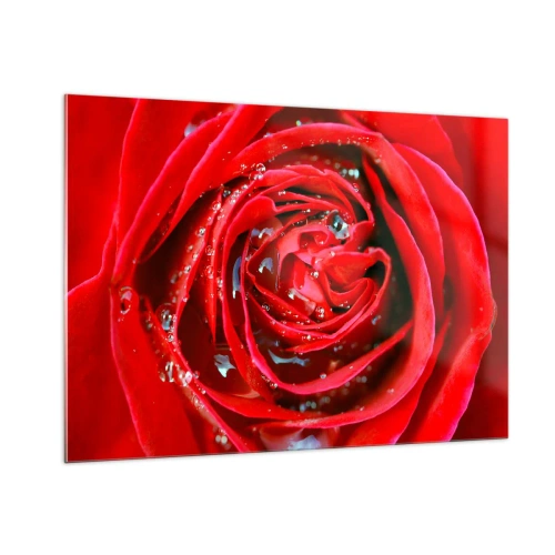 Glasbild - Bild auf glas - Nahaufnahme einer roten Rose mit Tautropfen - 100x70cm - In den Tautropfen - Moderne Wanddekoration für Wohnzimmer und Schlafzimmer ARTTOR