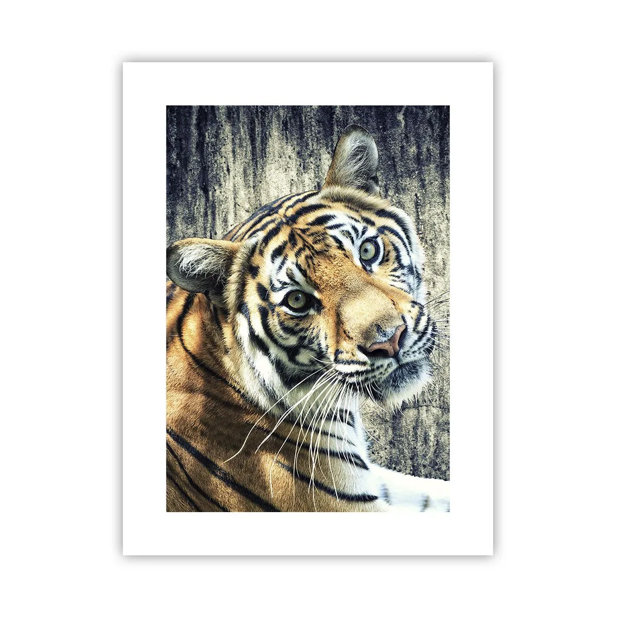 Poster - Portrait in Lichtstrahlen - 30x40 cm