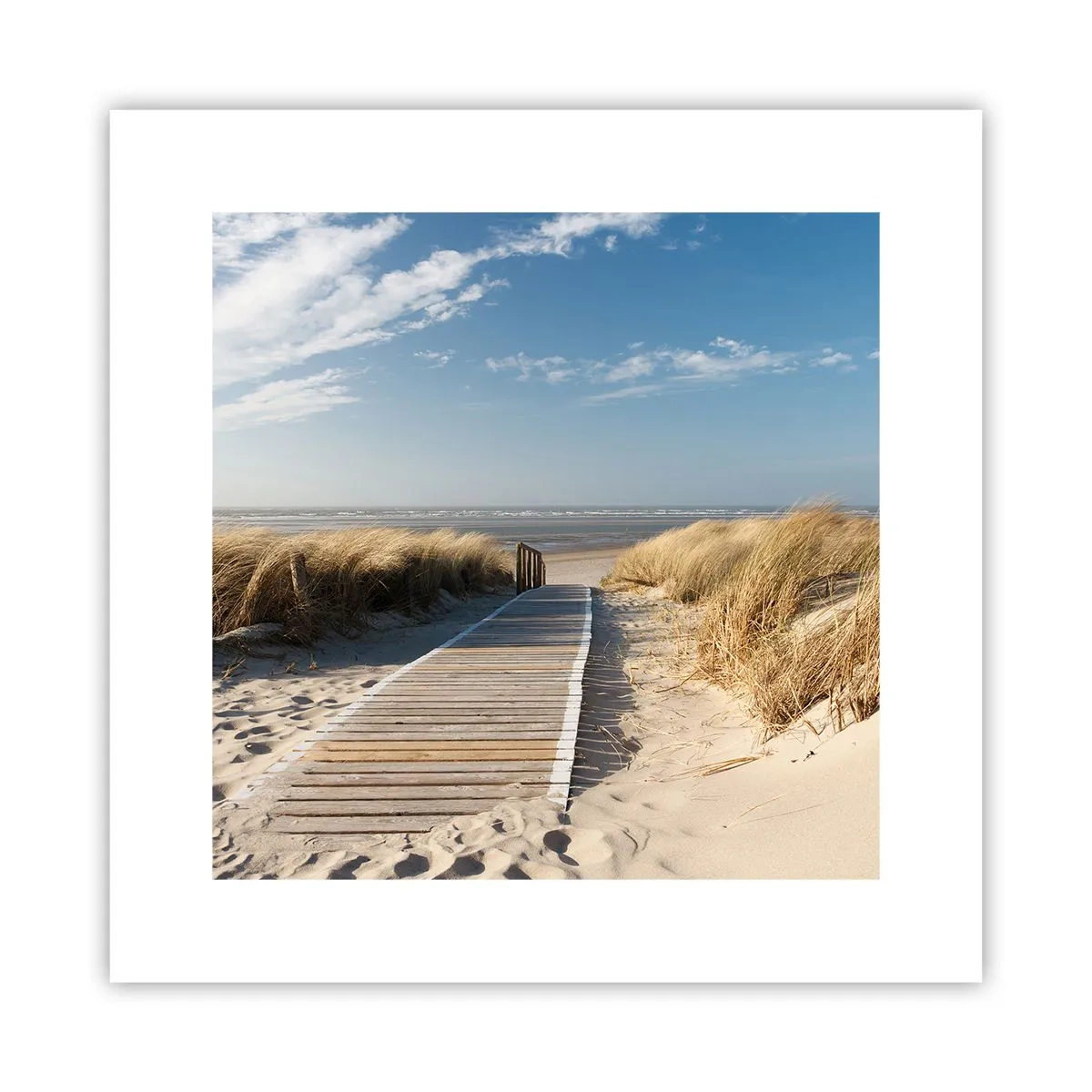 Poster - Hinter der Düne, im Rauschen des Grases - 30x30 cm