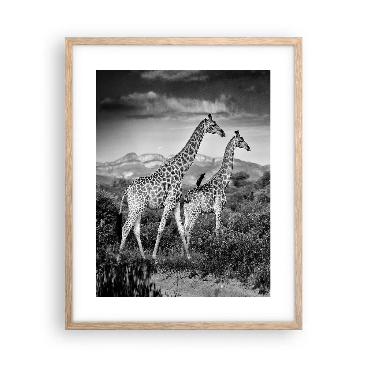 Poster in einem Rahmen aus heller Eiche - Hohe Sphären in Afrika - 40x50 cm
