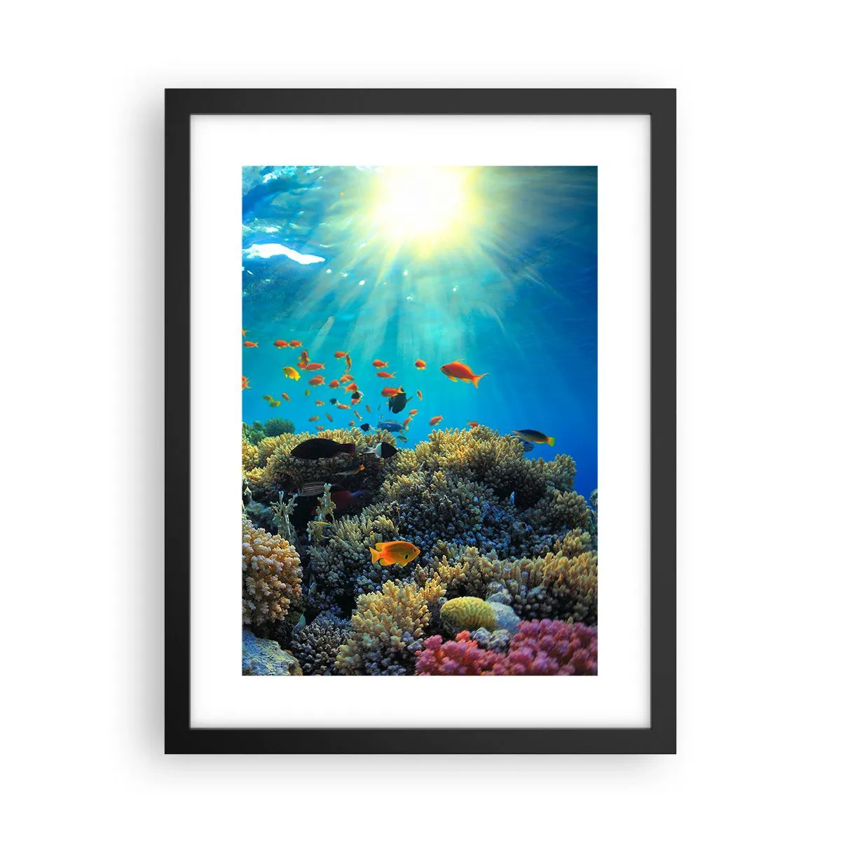 Poster in einem schwarzem Rahmen - Unterwasserschätze - 30x40 cm