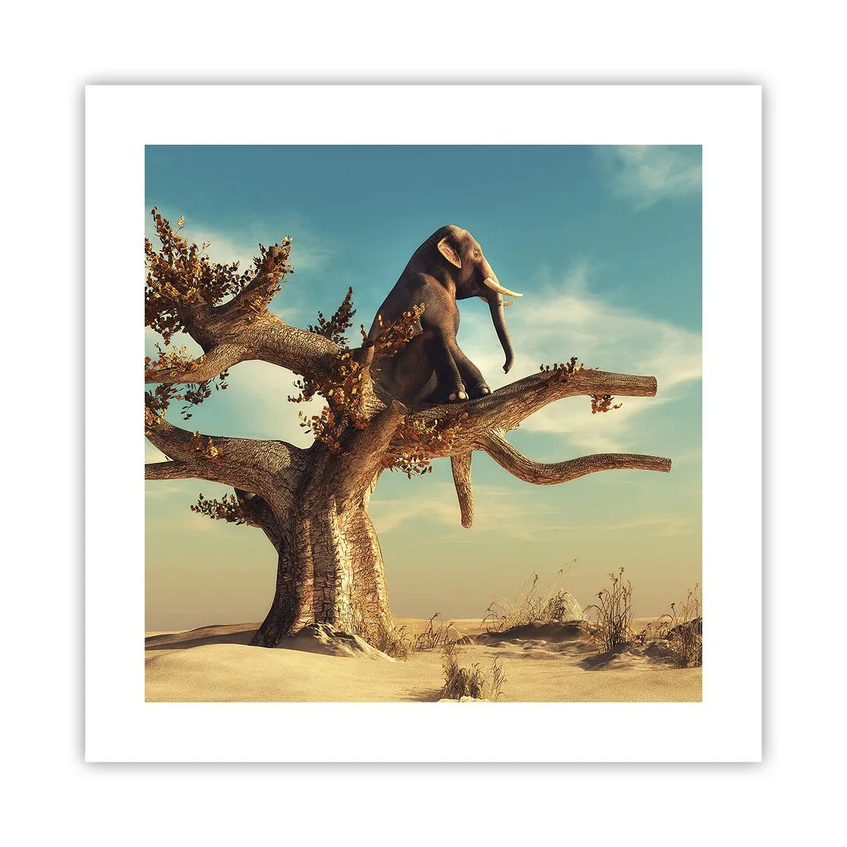 Poster - Ein neuer Standpunkt - 40x40 cm