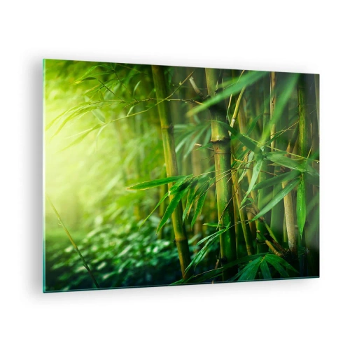 Glasbild - Bild auf glas - Grüner Bambuswald im Sonnenschein - 70x50cm - Lerne Grün selbst kennen - Moderne Wanddekoration für Wohnzimmer und Schlafzimmer ARTTOR