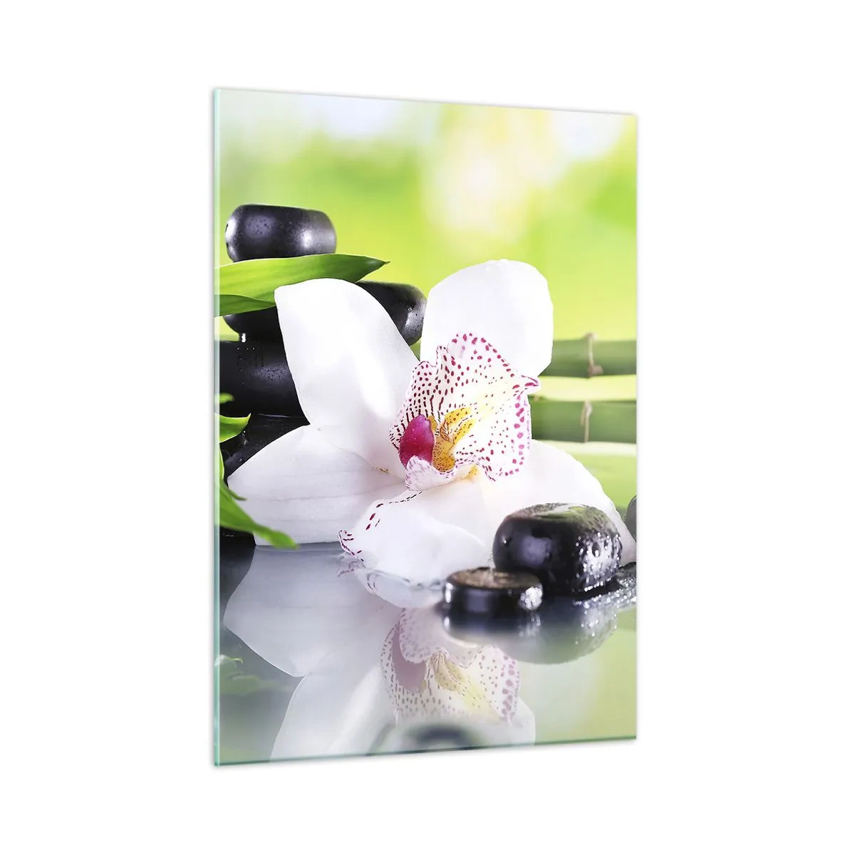Glasbild - Bild auf glas - Orchidee, Bambus und schwarze Steine vor grünem Hintergrund - 50x70cm - Kühle Frische - Moderne Wanddekoration für Wohnzimmer und Schlafzimmer ARTTOR