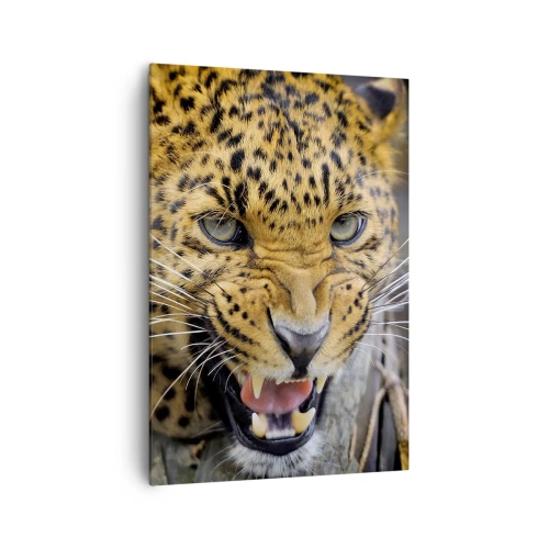 Bild auf Leinwand - Leinwandbild - Eine Nahaufnahme eines bedrohlichen Leoparden mit gefletschten Reißzähnen. - 70x100cm - Bleib zurück, ich warne dich! - Moderne Wanddekoration für Wohnzimmer und Schlafzimmer ARTTOR