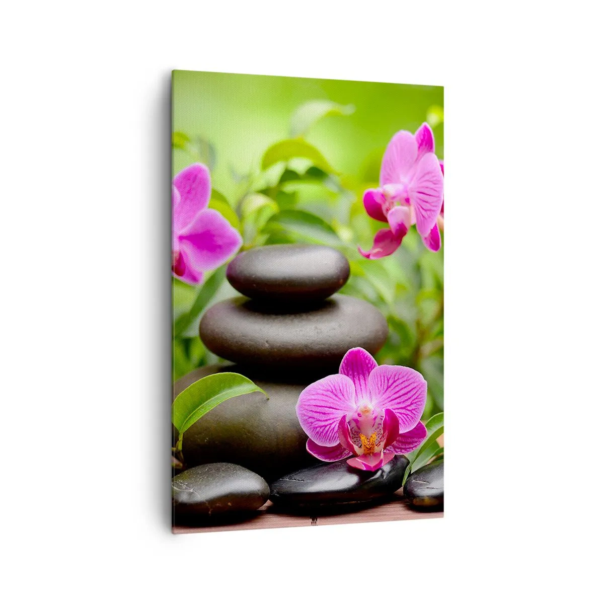Bild auf Leinwand - Leinwandbild - Rosa Orchideen mit Steinen auf grünem Hintergrund - 80x120cm - Die Pyramide des Friedens - Moderne Wanddekoration für Wohnzimmer und Schlafzimmer ARTTOR
