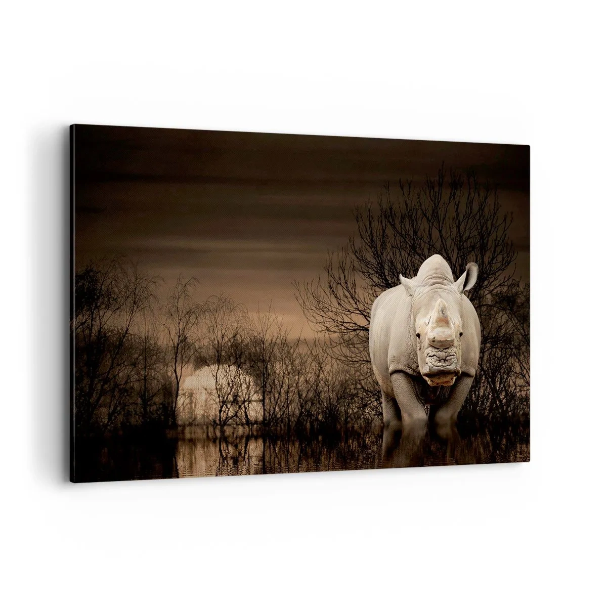 Bild auf Leinwand - Leinwandbild - Nashorn zwischen Bäumen bei Sonnenuntergang, wilde Natur. - 120x80cm - Weiß gegen die Natur - Moderne Wanddekoration für Wohnzimmer und Schlafzimmer ARTTOR