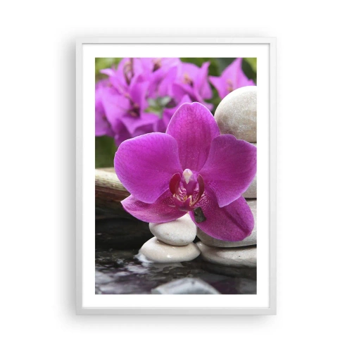 Poster in einem weißen Rahmen - Du ruhst dich schon aus - 50x70 cm