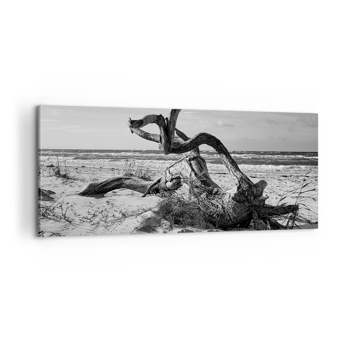 Bild auf Leinwand - Leinwandbild - Meeresskulptur - 100x40 cm