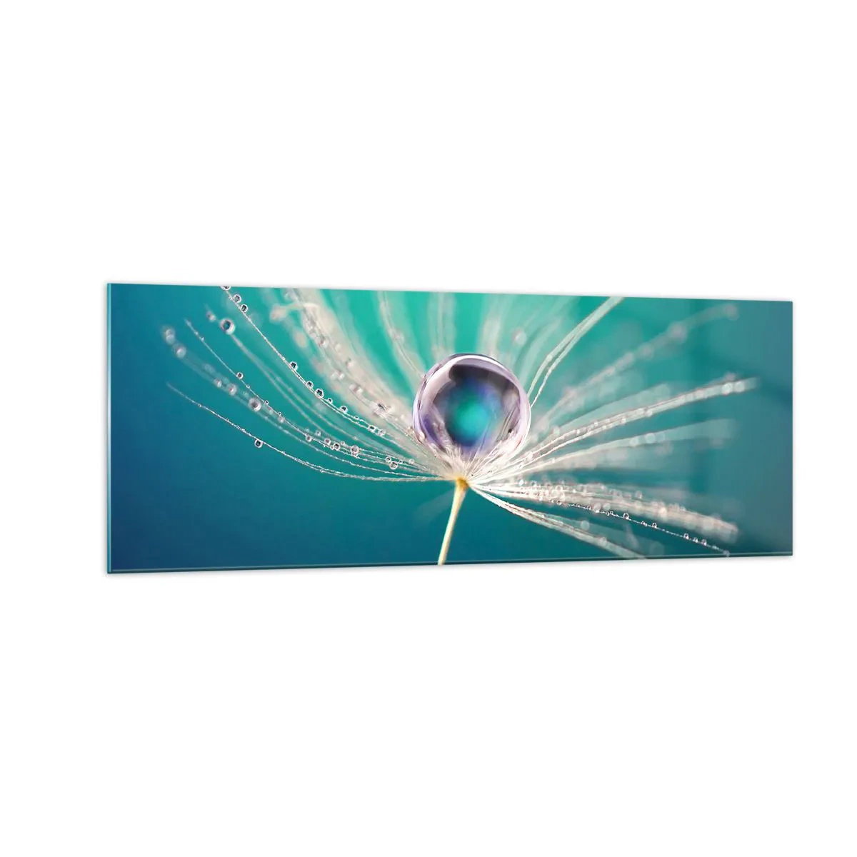 Glasbild - Bild auf glas - Makroaufnahme eines Wassertropfens auf einem zarten Löwenzahnsamen - 140x50cm - Mystischer Moment - Moderne Wanddekoration für Wohnzimmer und Schlafzimmer ARTTOR