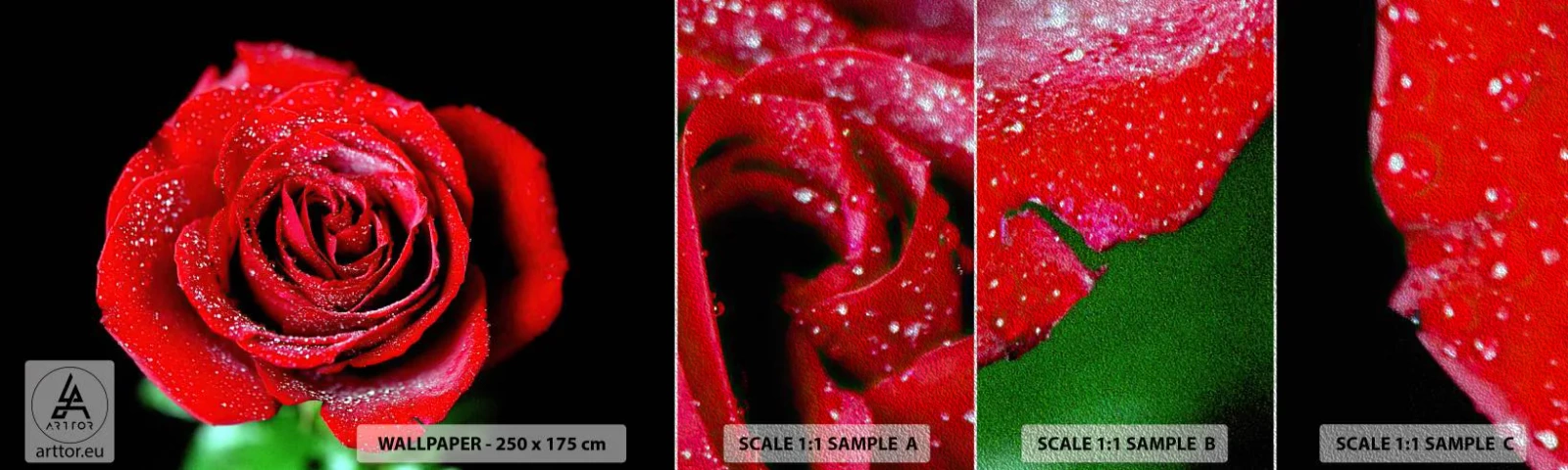 Fototapeten Muster Premium Sand - Das ist Liebe - Blumen, Rote Rose, Rosenblätter - 100x30 cm