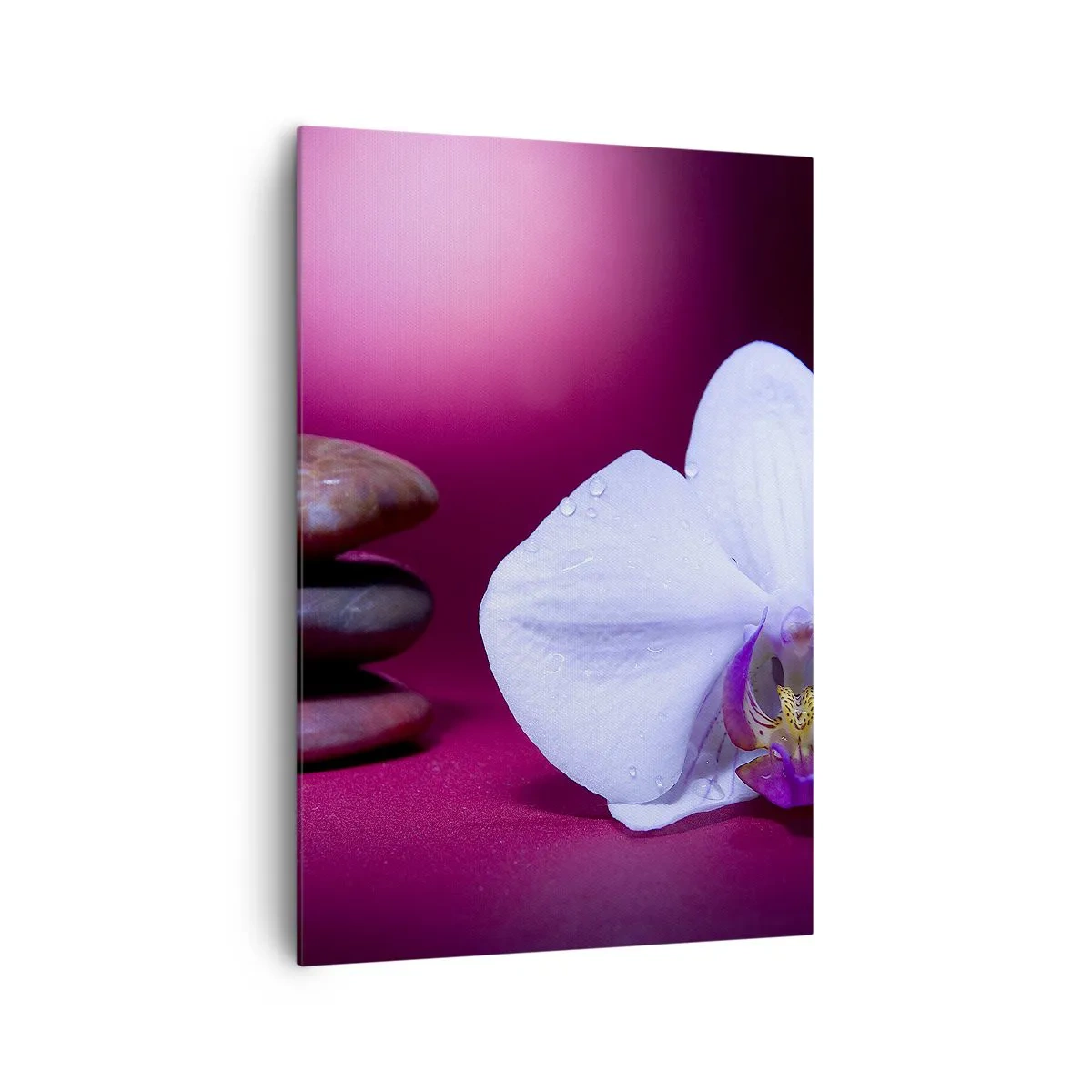 Bild auf Leinwand - Leinwandbild - Weiße Orchidee und Steine auf rosa Hintergrund - 70x100cm - Eine Studie der Frische in Lila - Moderne Wanddekoration für Wohnzimmer und Schlafzimmer ARTTOR