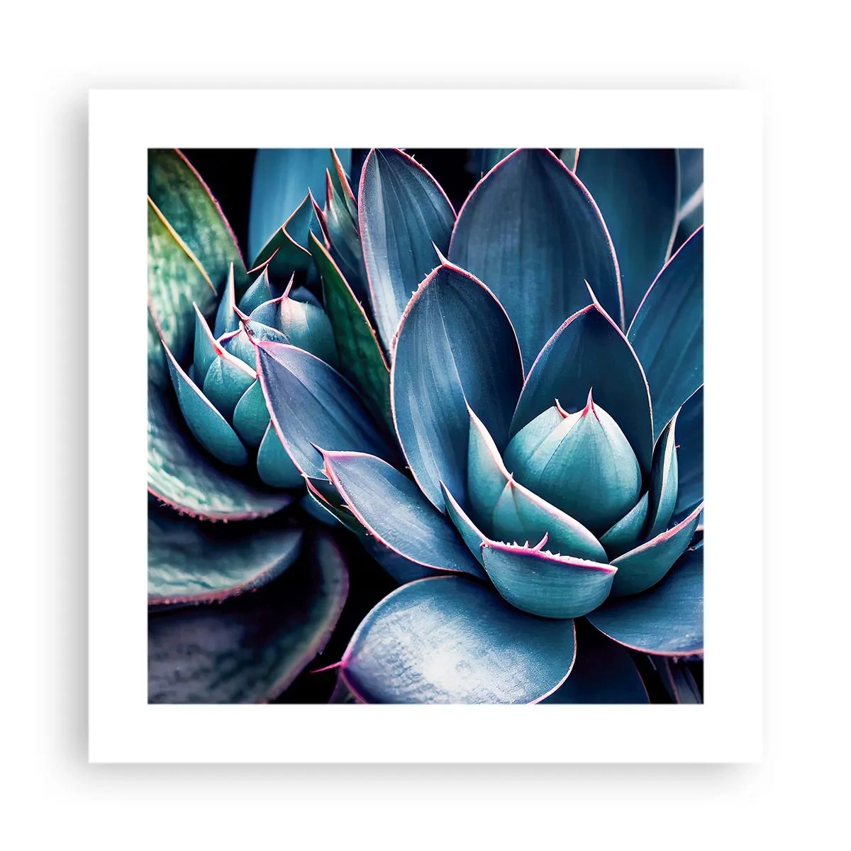 Poster - Lebenskraft - 40x40 cm