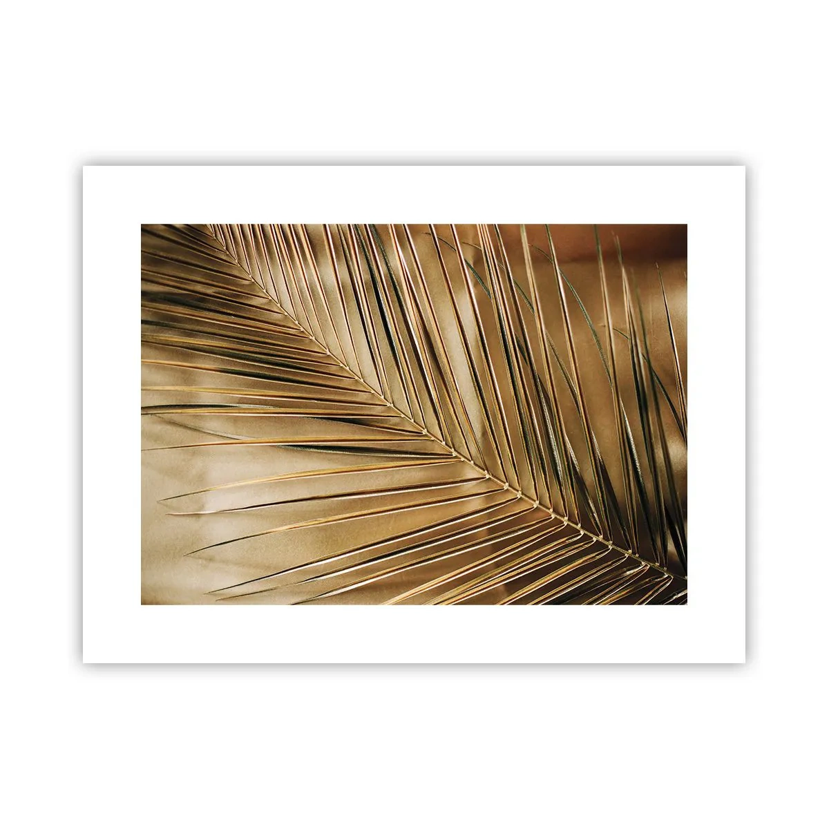 Poster - Natürliche Kolonnade - 40x30 cm