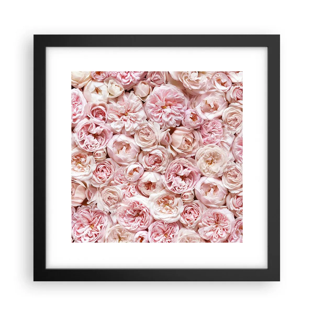Poster in einem schwarzem Rahmen - Auf Rosen gebettet - 30x30 cm