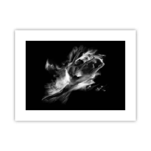 Poster - Im Flug hängen geblieben - 40x30 cm