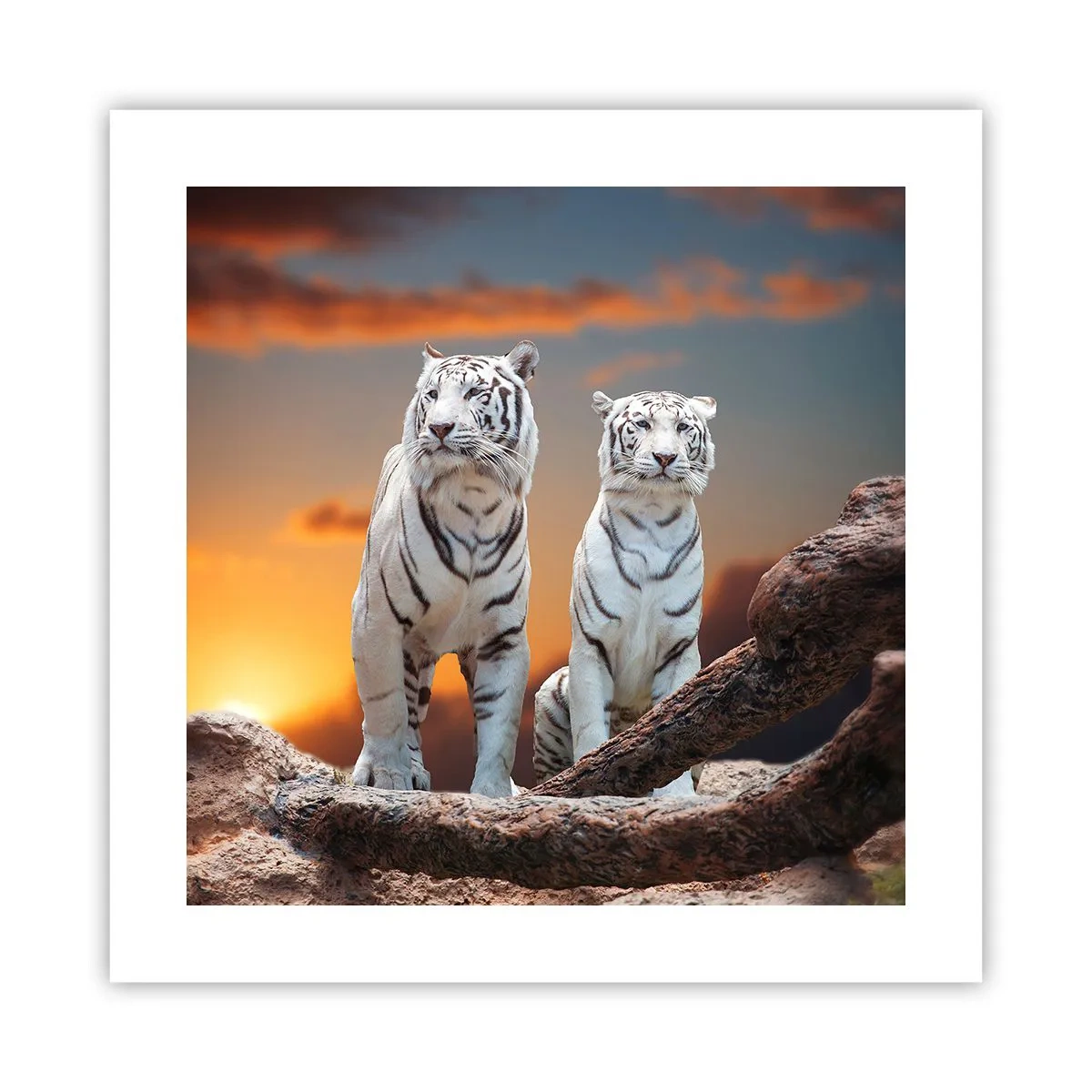 Poster - Genau wie Narnia - 40x40 cm