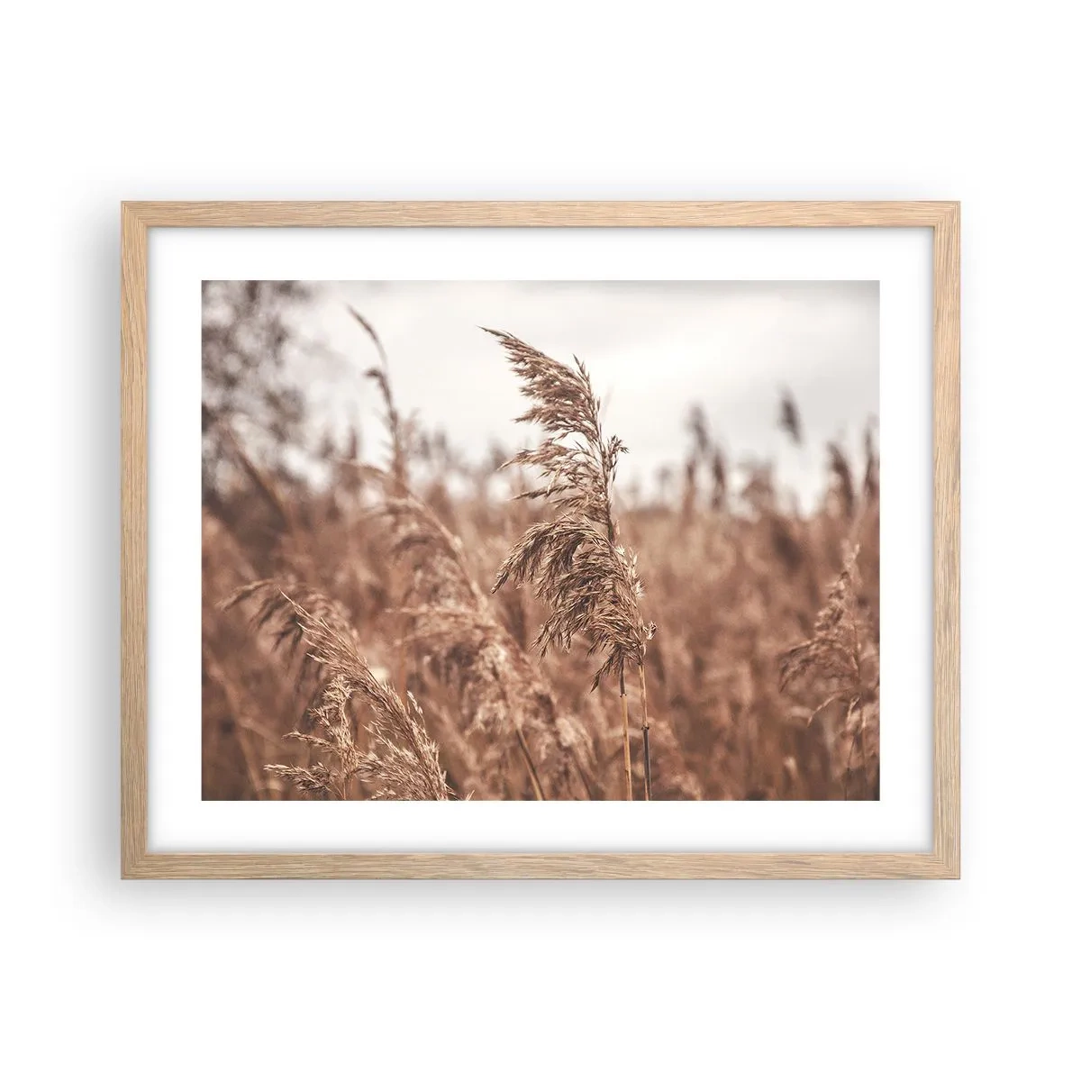 Poster in einem Rahmen aus heller Eiche - Auf den Feldern ist es schon Herbst - 50x40 cm